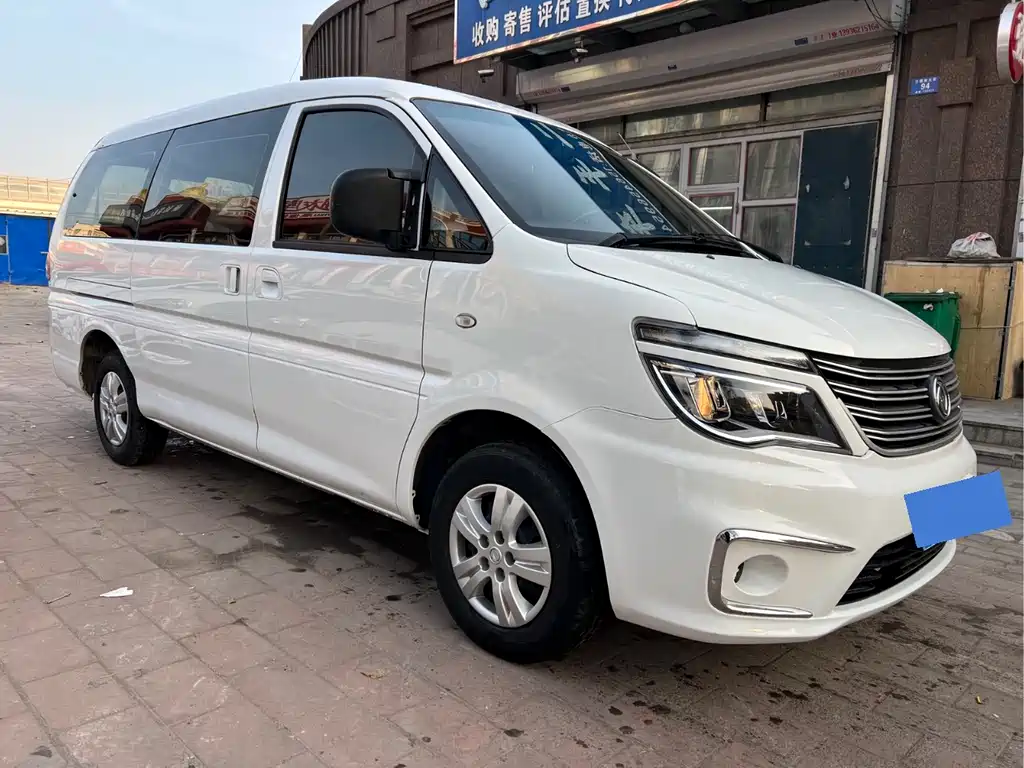 DONGFENG LINGZHI