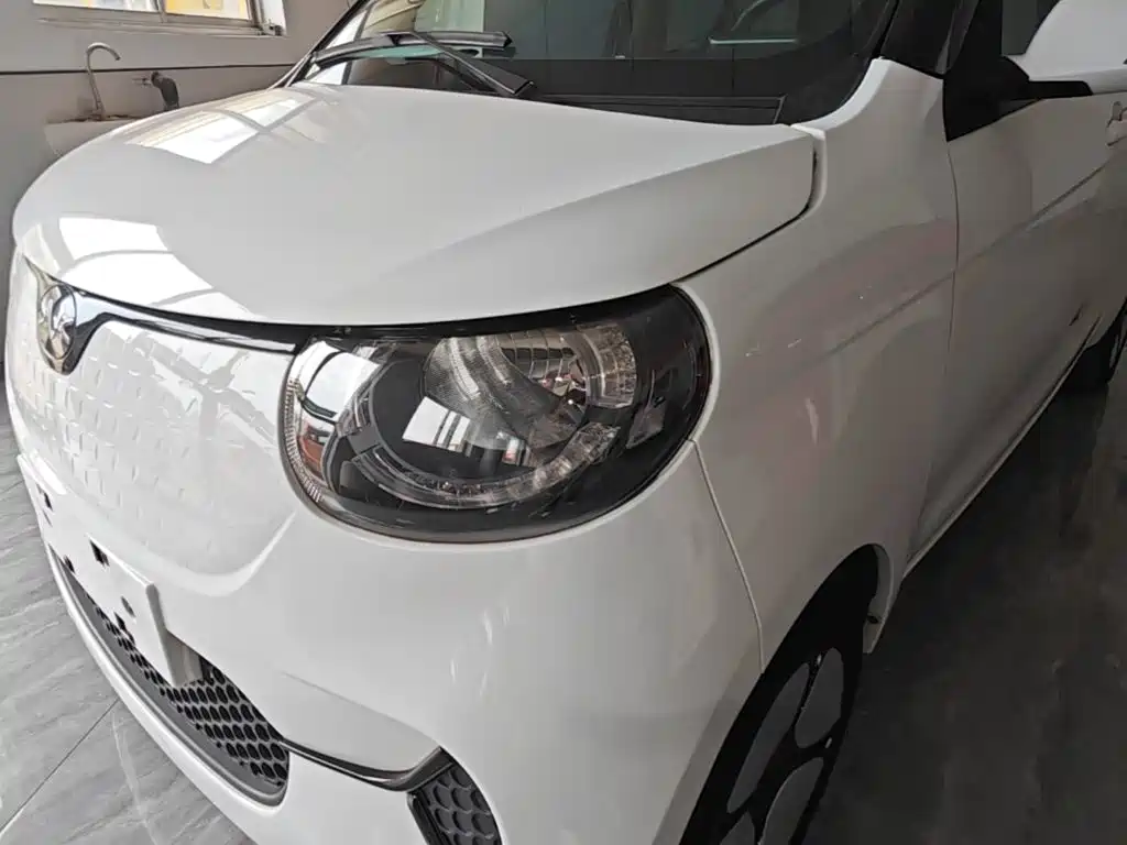FERRAL EV — миниатюра 24