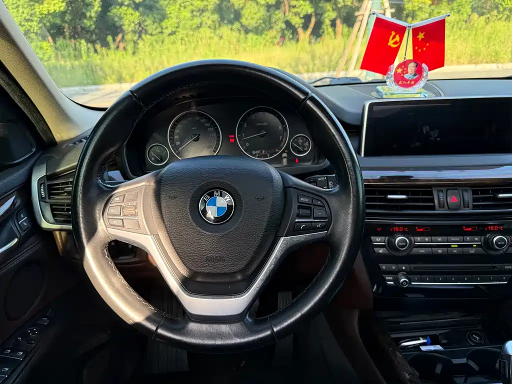 BMW X5 (Import) — миниатюра 13