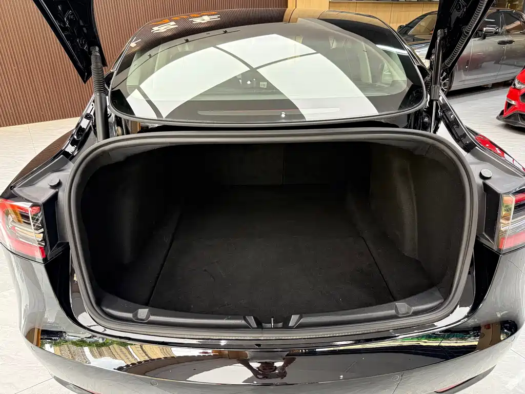 Tesla Model 3 — миниатюра 25