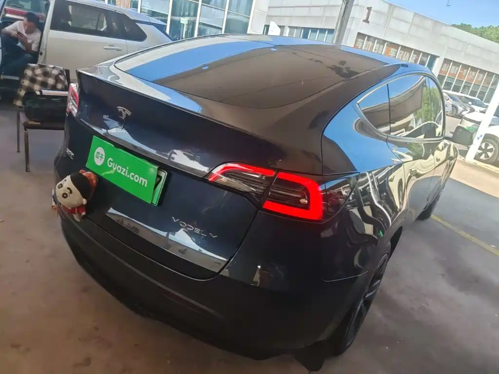 Tesla Model Y — миниатюра 7