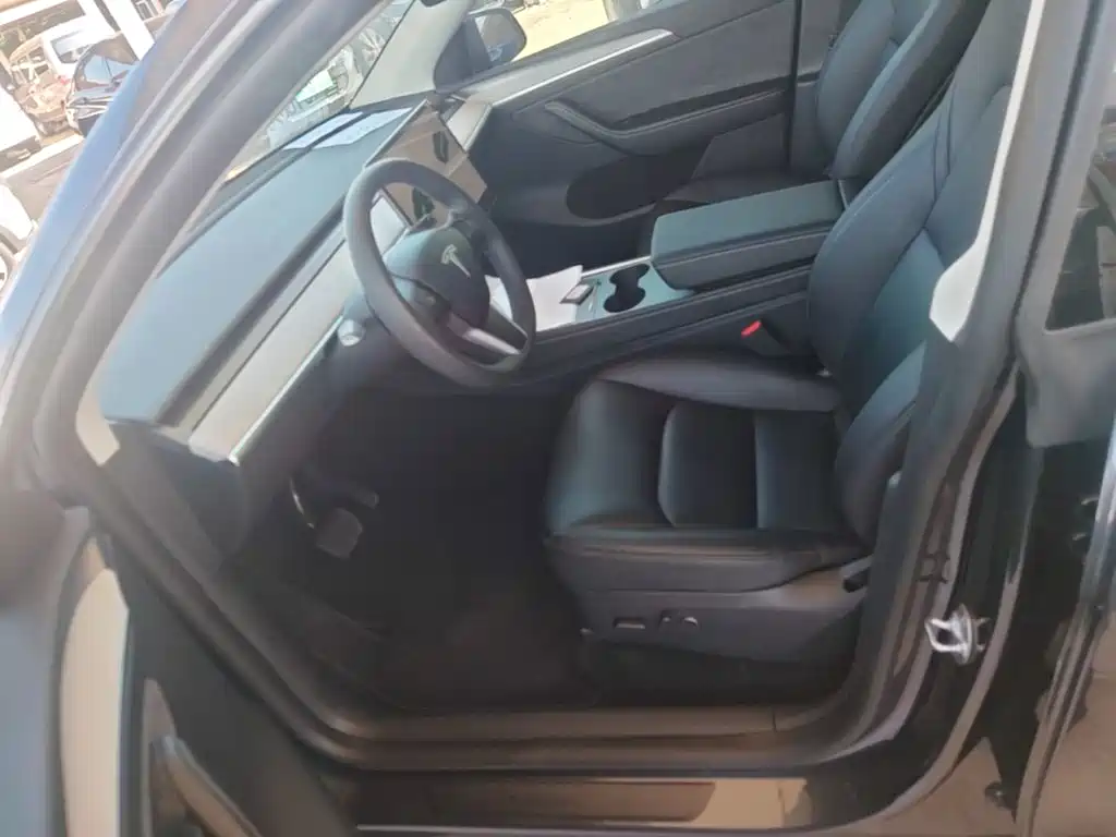 Tesla Model Y — миниатюра 15