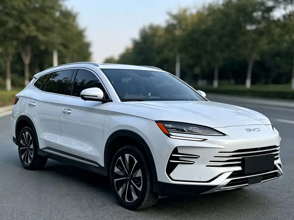 BYD PLUS New Energy — миниатюра 3