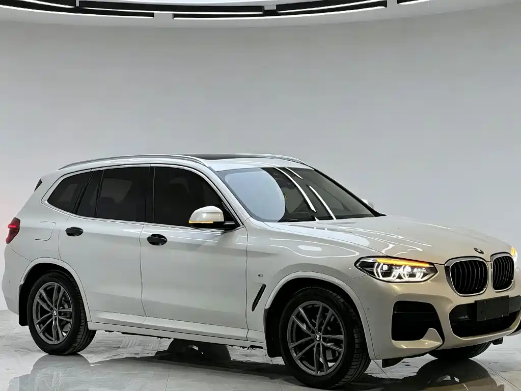 BMW X3 — миниатюра 3