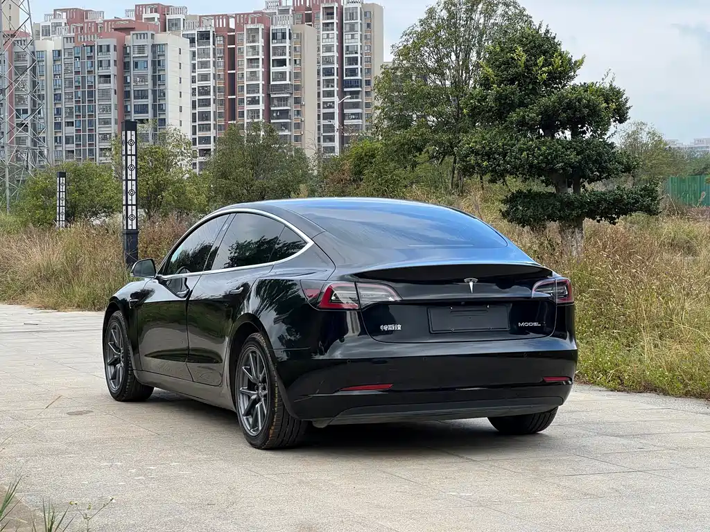 Tesla Model 3 — миниатюра 4
