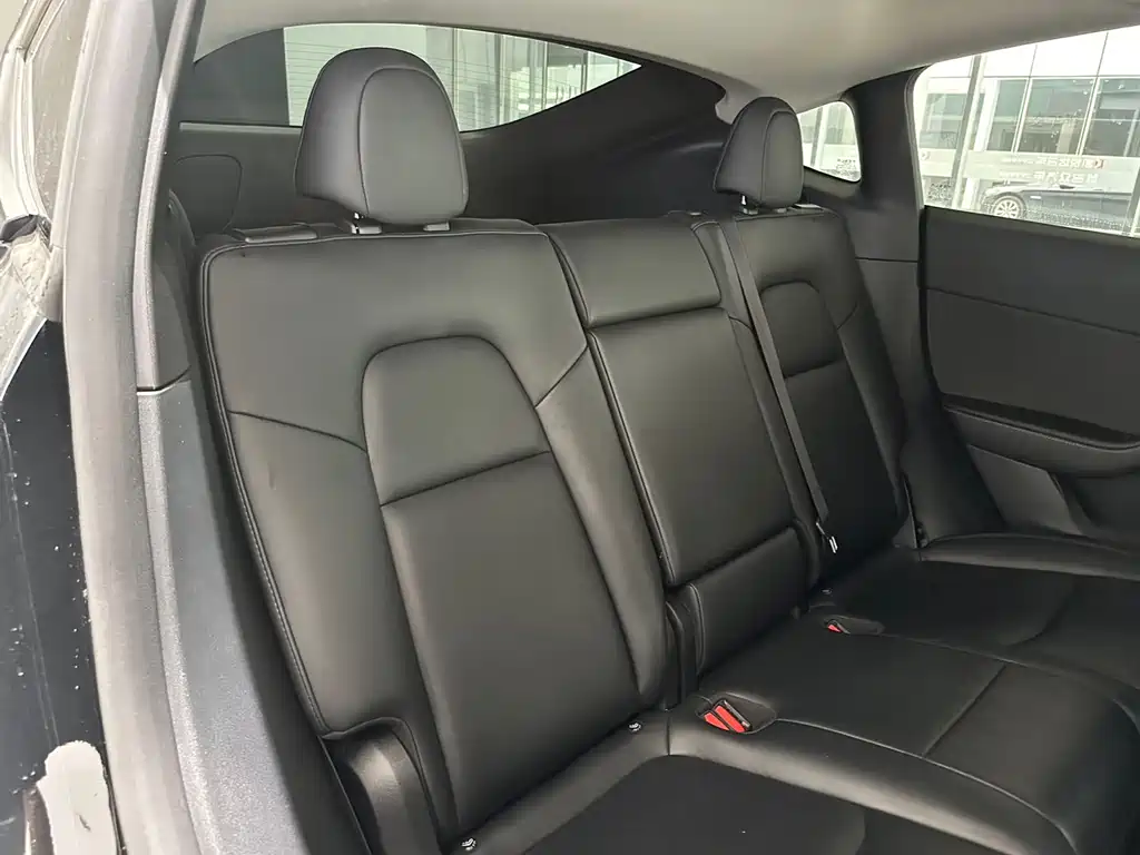 Tesla Model Y — миниатюра 7