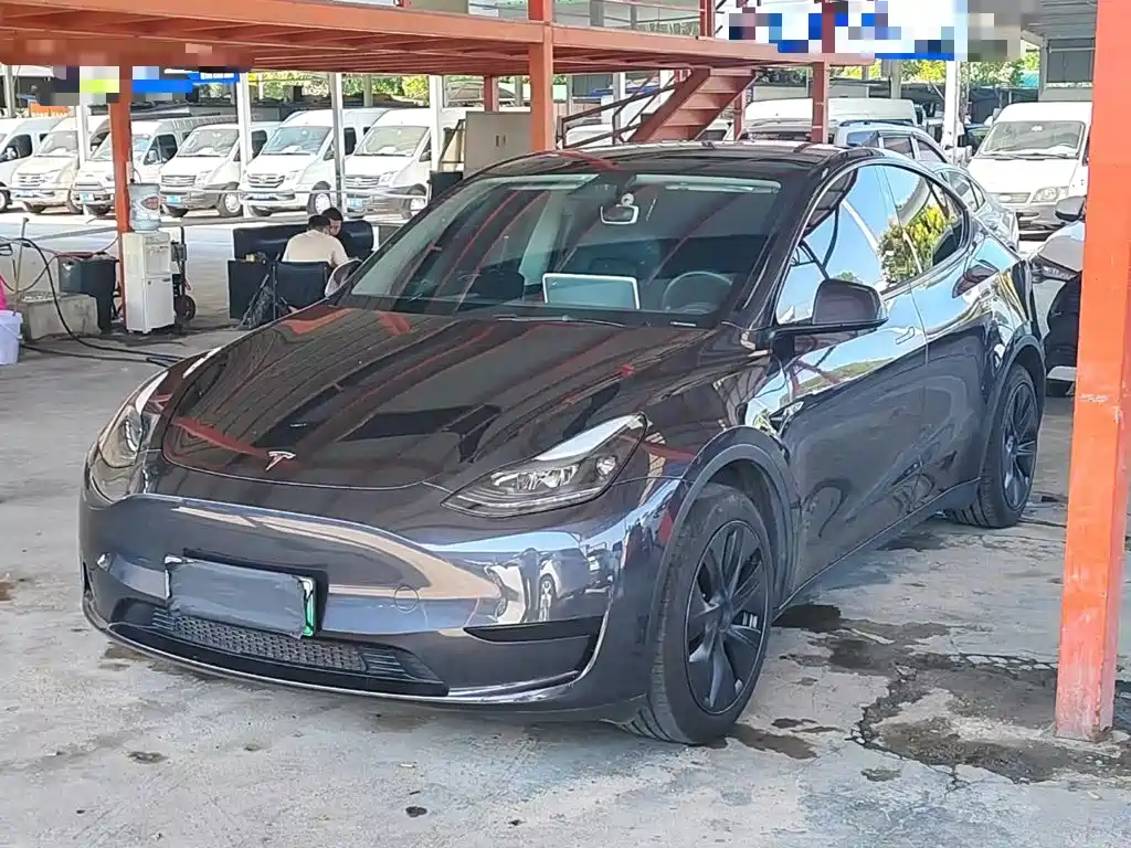 Tesla Model Y — миниатюра 2