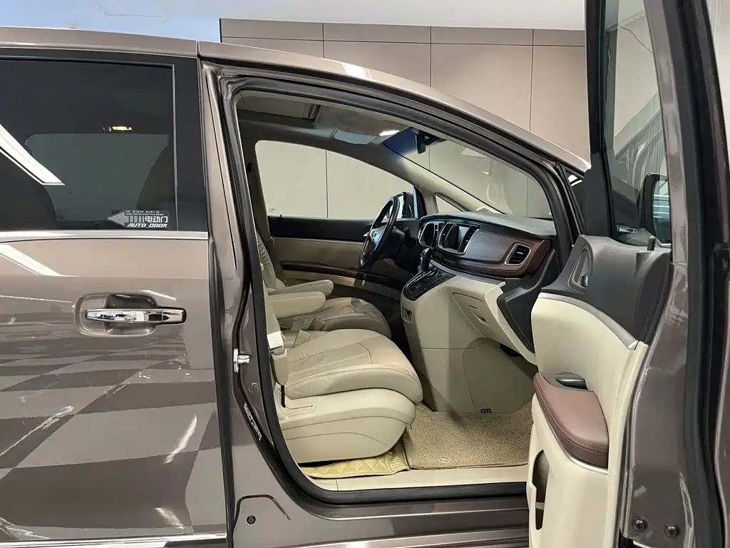 Buick GL8 — миниатюра 17