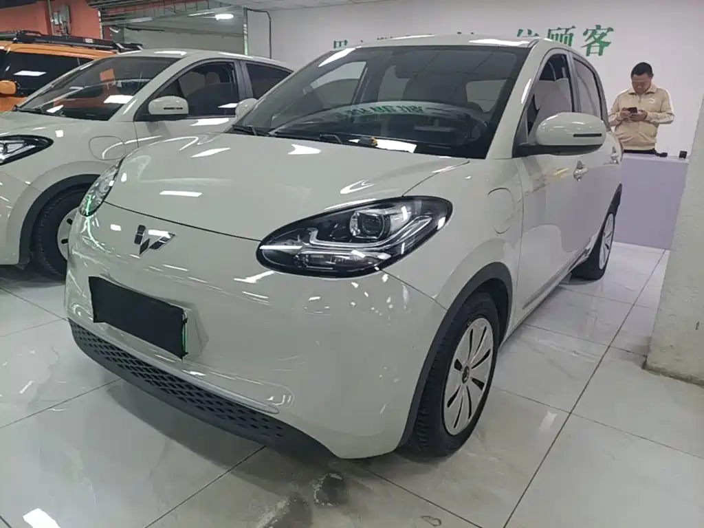 Wuling Bingo