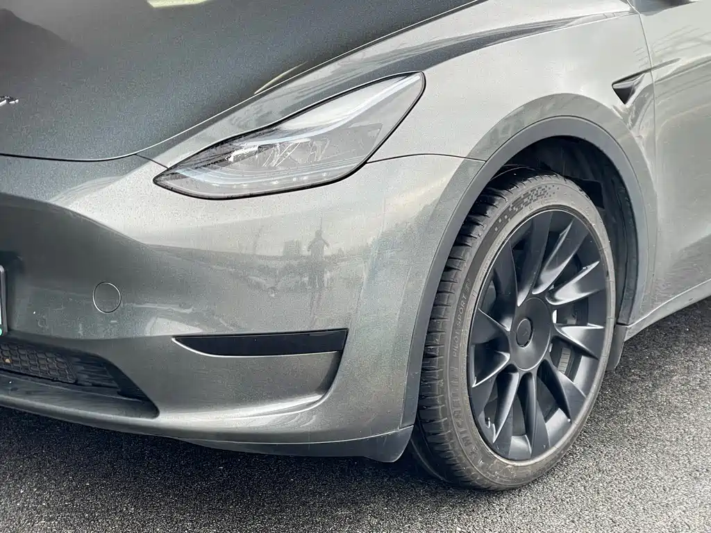 Tesla Model Y — миниатюра 6