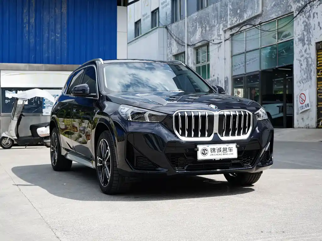 BMW X1 — миниатюра 3