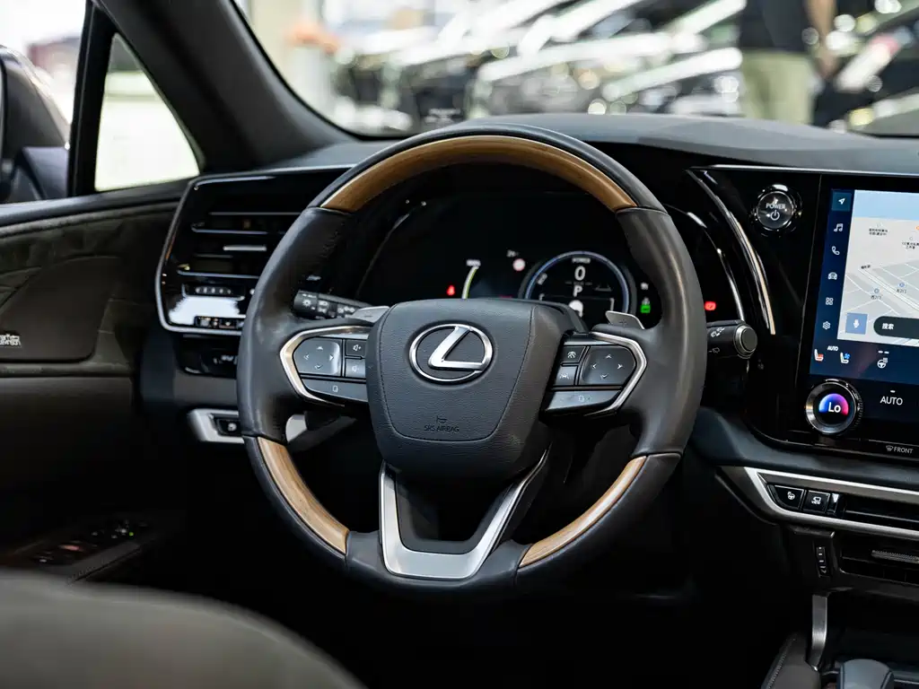 Lexus RX New Energy — миниатюра 15