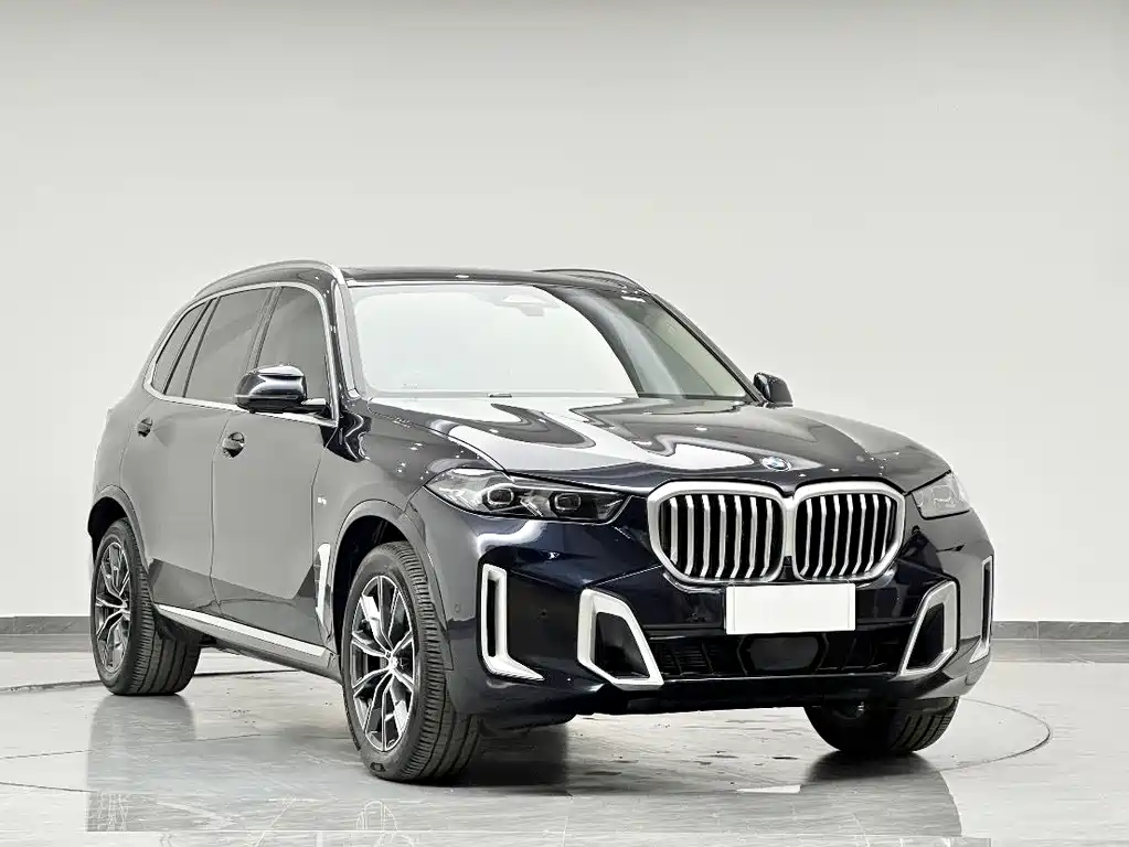 BMW X5 2023 xDrive 30Li M Sport
