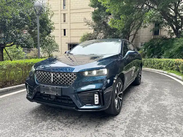 WEI PAI WEI BRAND VV7