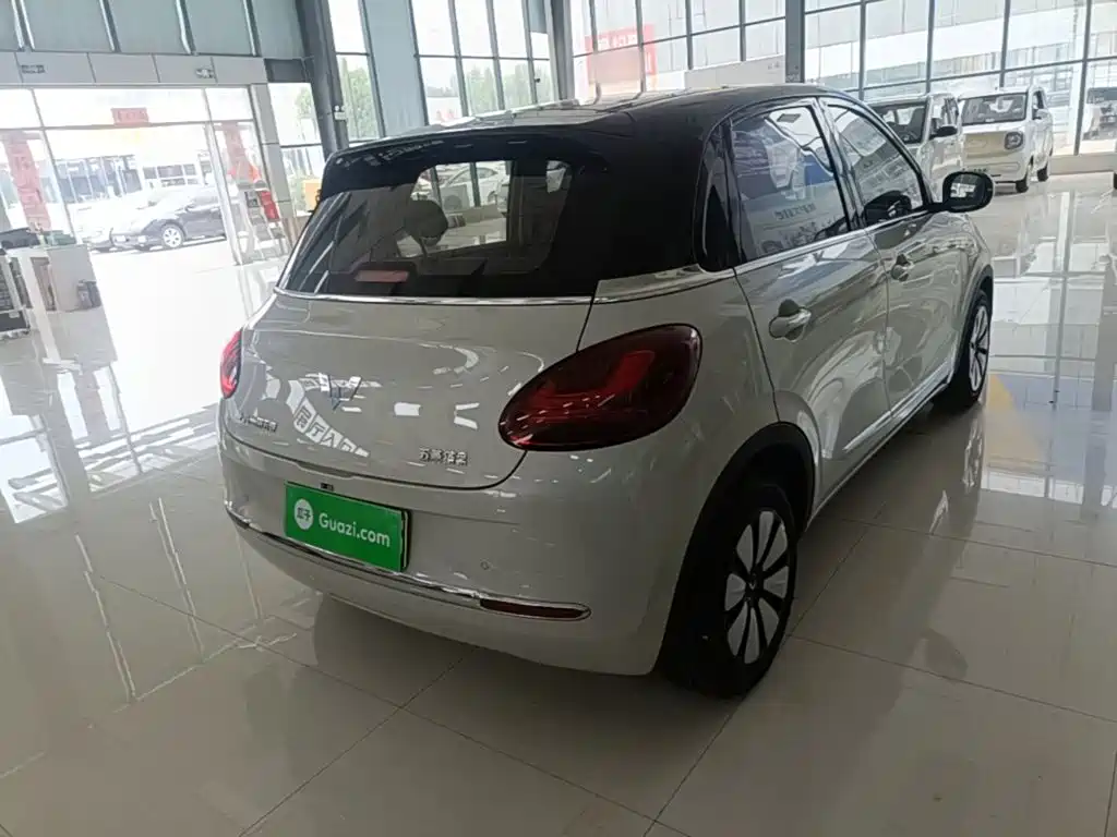 Wuling Binguo 2024 333km Enjoy