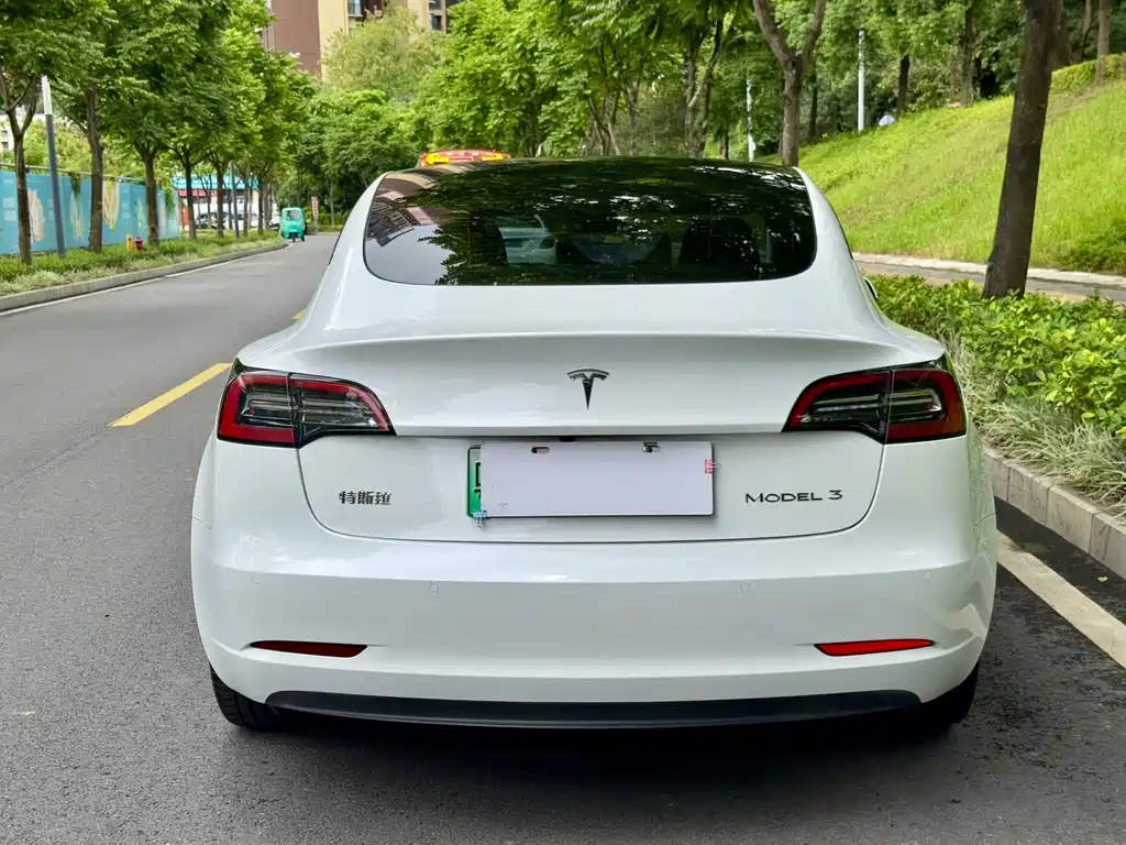 Tesla Model 3 — миниатюра 8