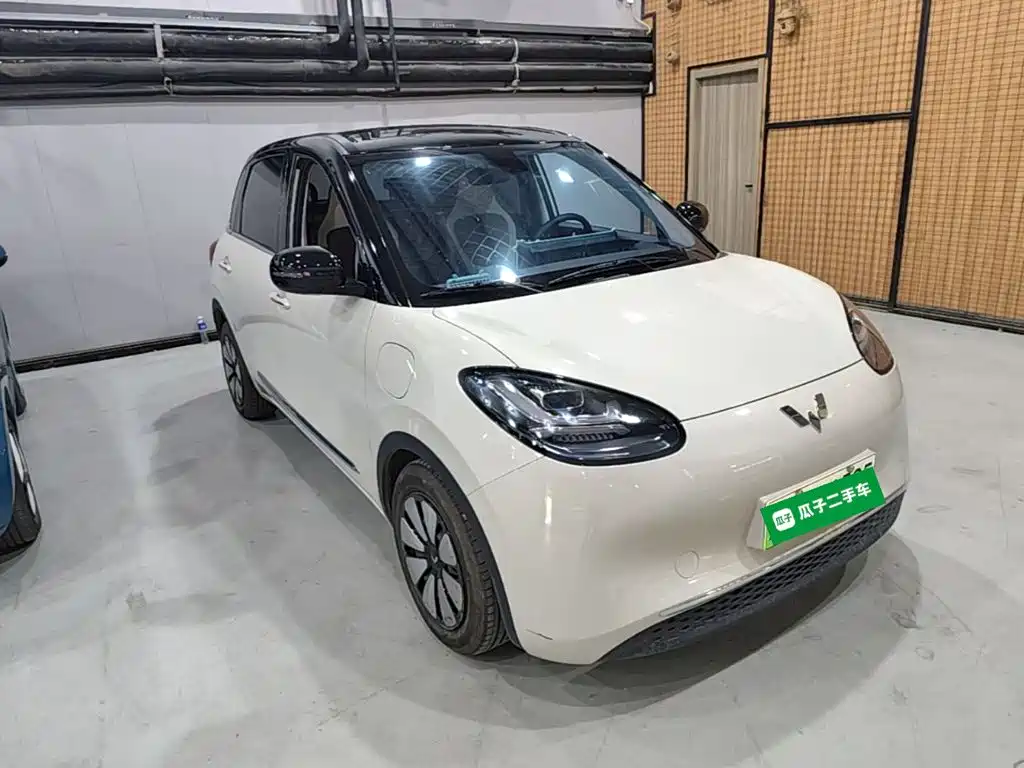 Wuling Binguo 2023 333km Enjoy +