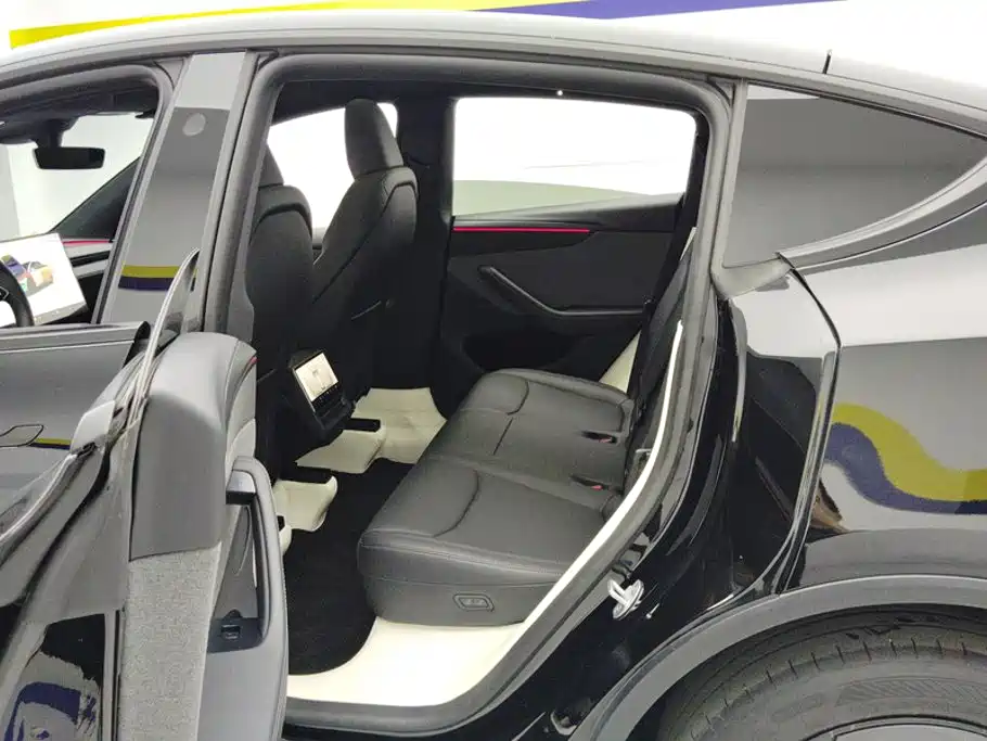 Tesla Model Y — миниатюра 11
