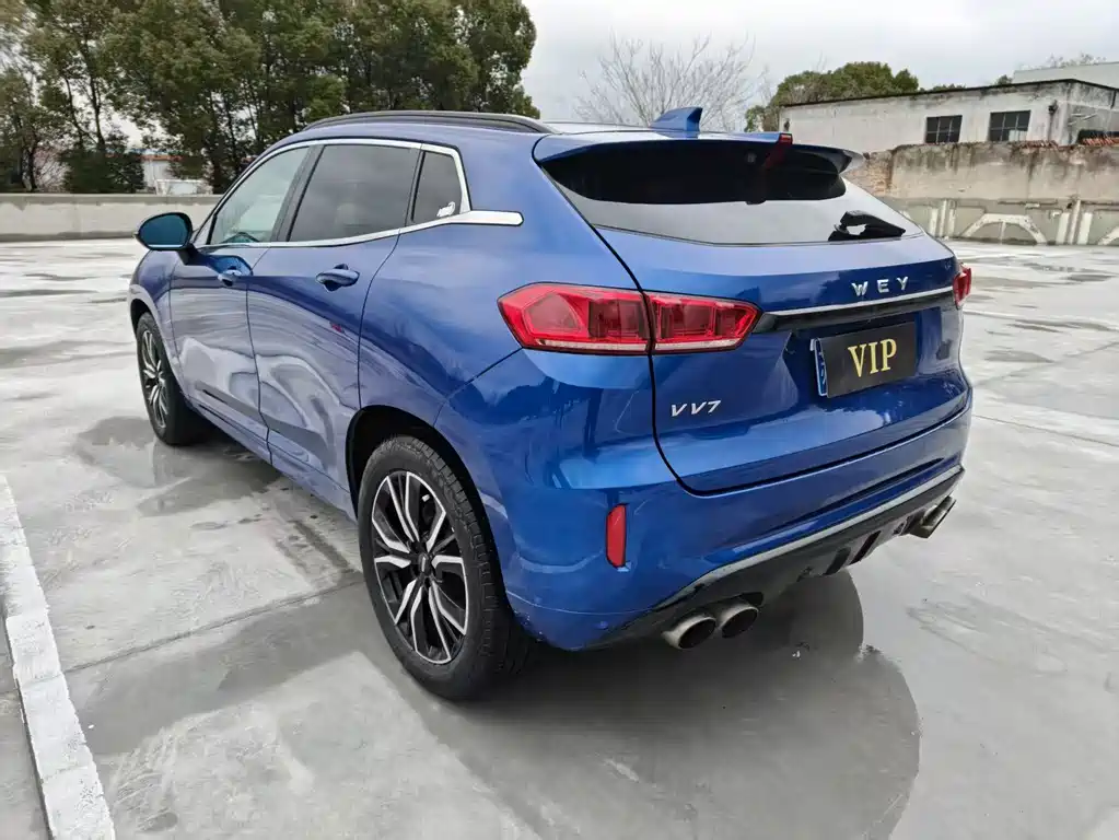 WEI PAI WEI BRAND VV7