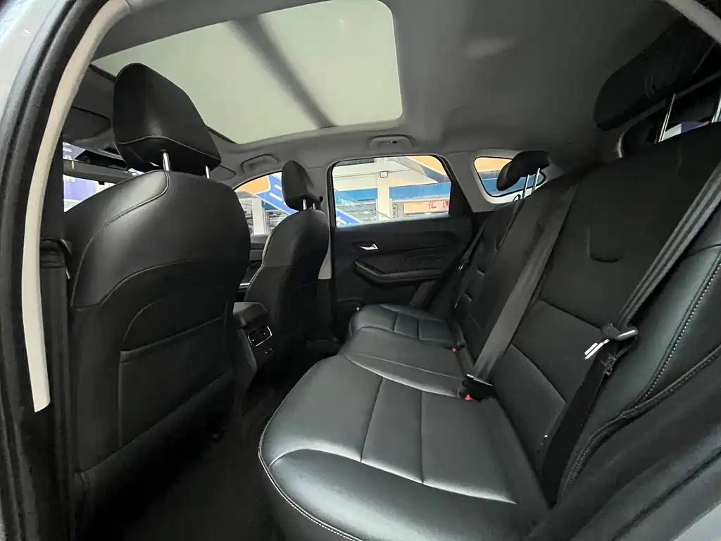 Haval Chitu — миниатюра 10