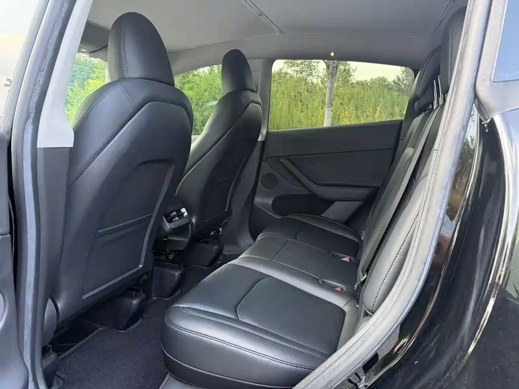 Tesla Model Y — миниатюра 10