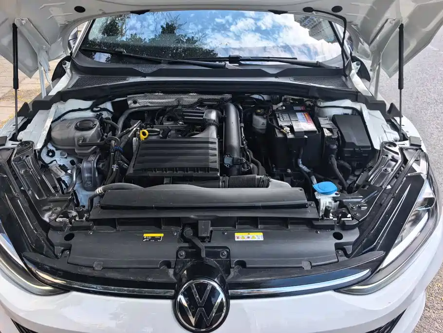Volkswagen Lamando — миниатюра 10