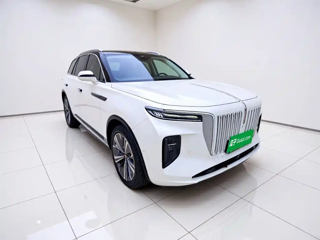 Hongqi Hongqi E-HS9 — миниатюра 25