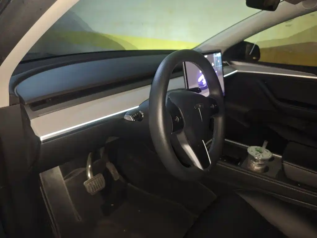 Tesla Model Y — миниатюра 20