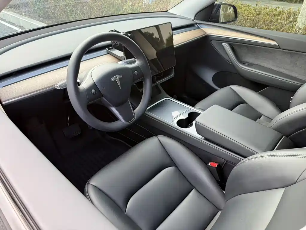 Tesla Model Y — миниатюра 9