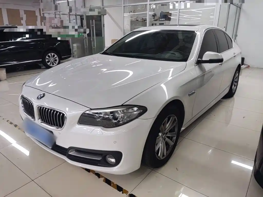 BMW 5 Series (Import) — миниатюра 2