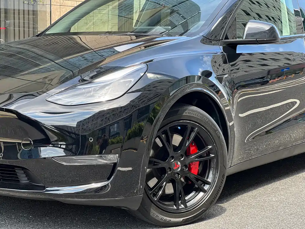 Tesla Model Y — миниатюра 2
