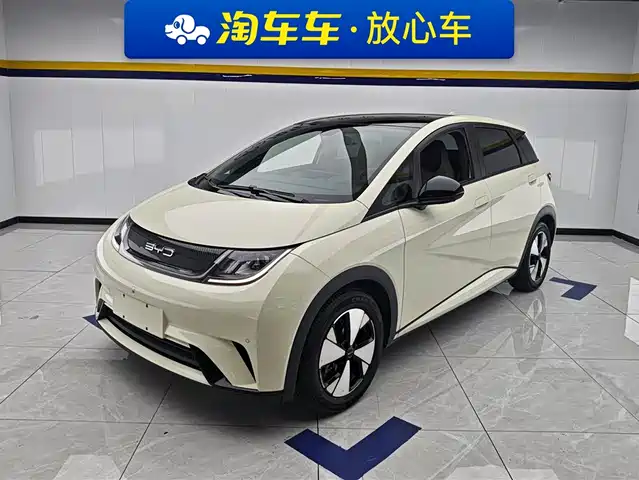 2023 BYD Dolphin