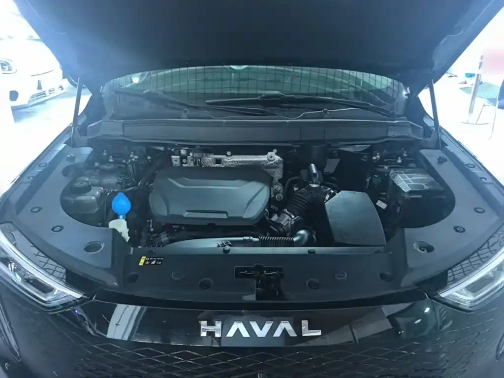 Haval Xiaolong MAX — миниатюра 20