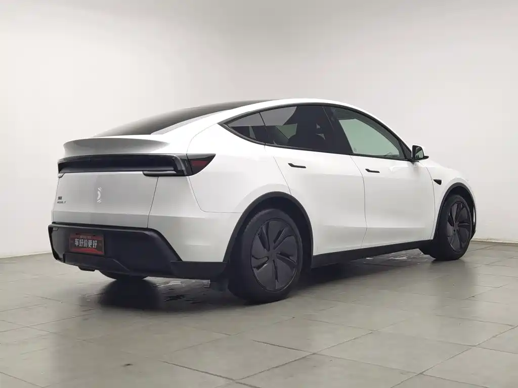 Tesla Model Y — миниатюра 2