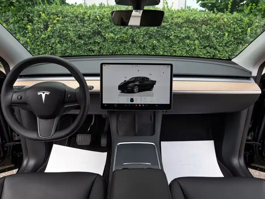 Tesla Model Y — миниатюра 6