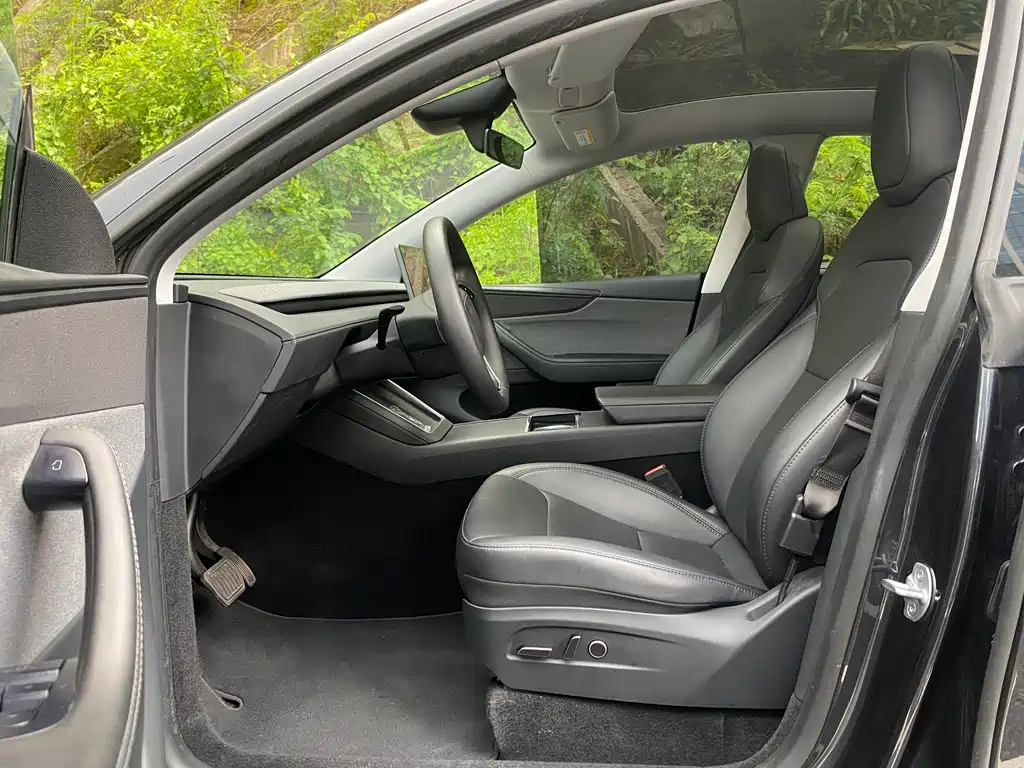 Tesla Model Y — миниатюра 6