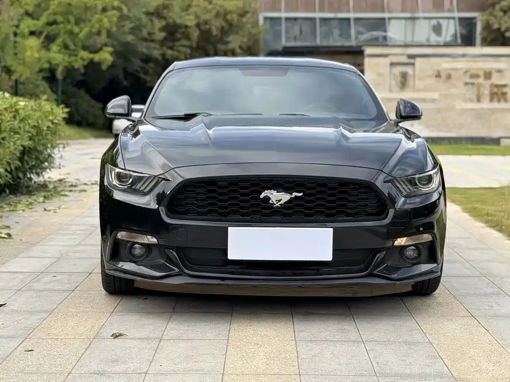Ford Mustang — миниатюра 2