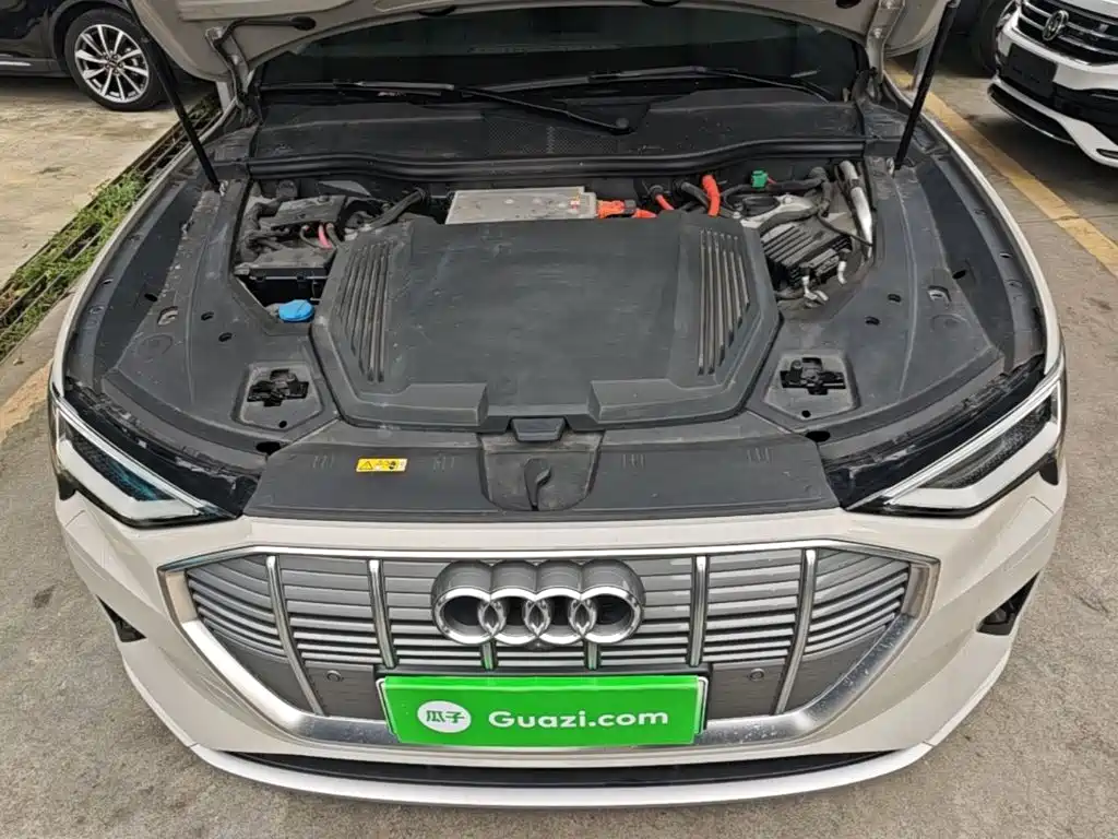 Audi e-tron (Import) — миниатюра 20