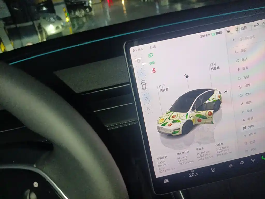 Tesla Model Y — миниатюра 10
