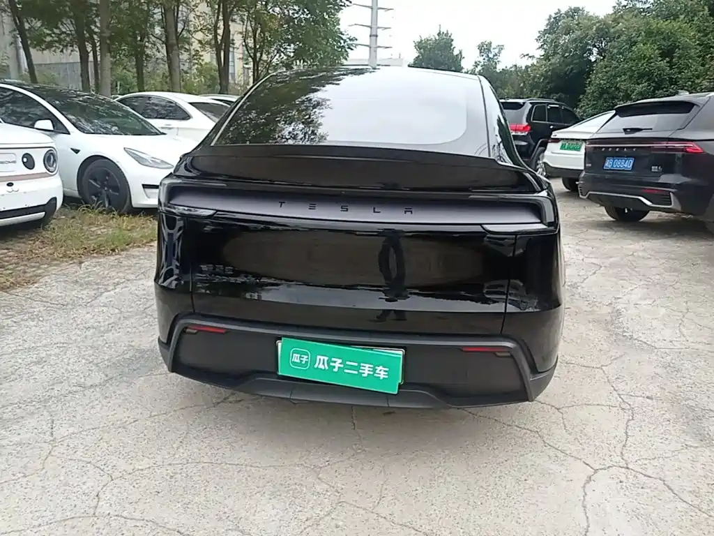 Tesla Model Y L — миниатюра 6