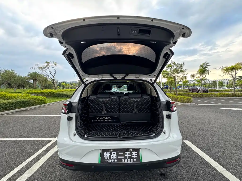 BYD Tang New Energy — миниатюра 36