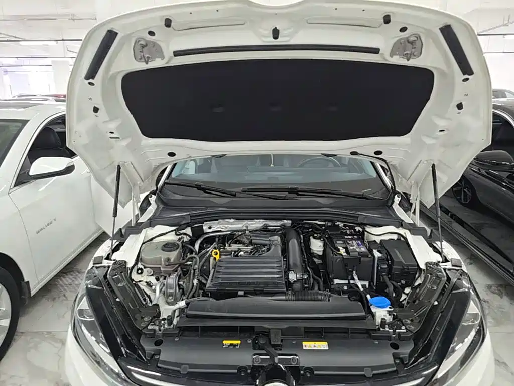Volkswagen Lamando — миниатюра 20