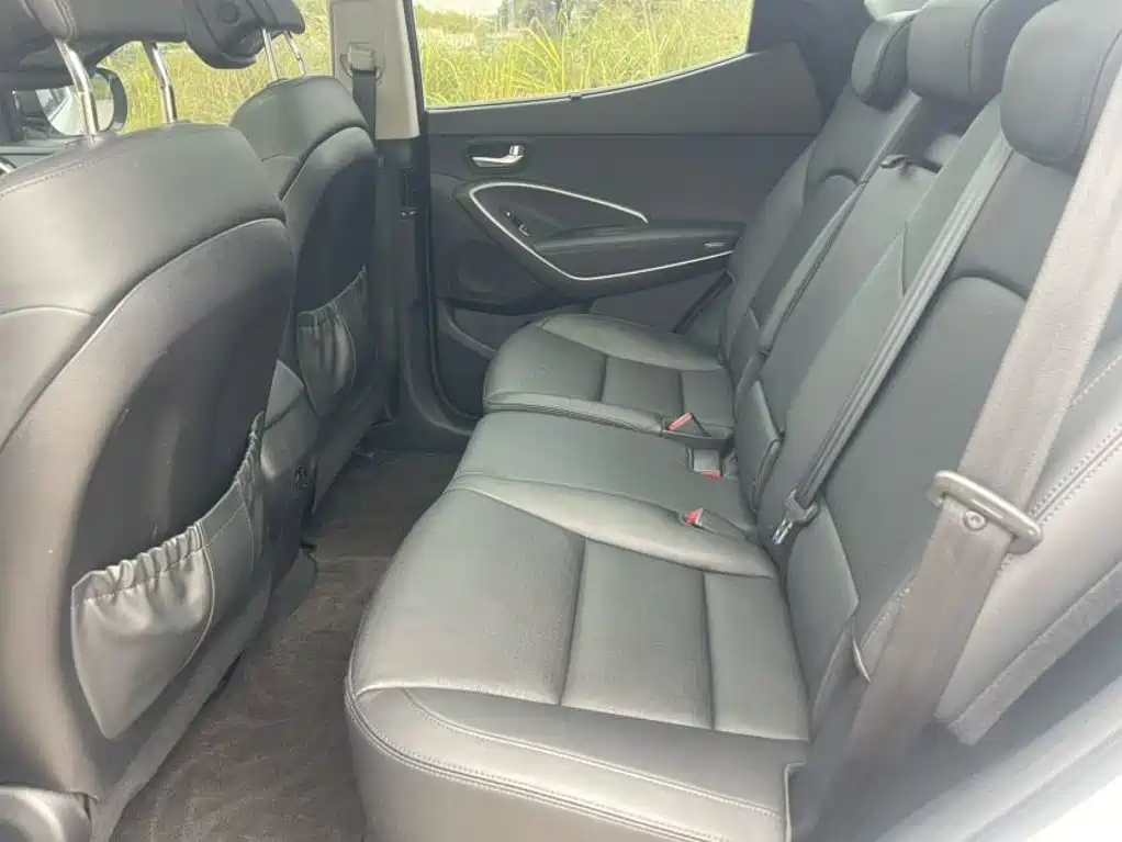 Hyundai Santa Fe (Import) — миниатюра 5