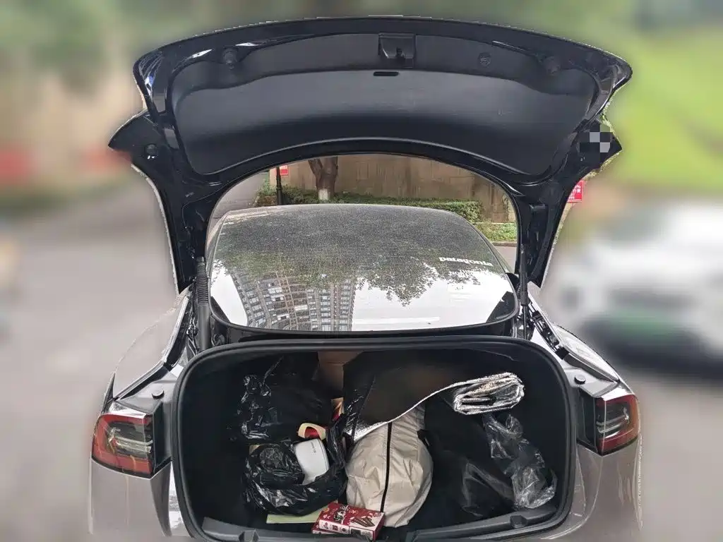 Tesla Model 3 — миниатюра 10