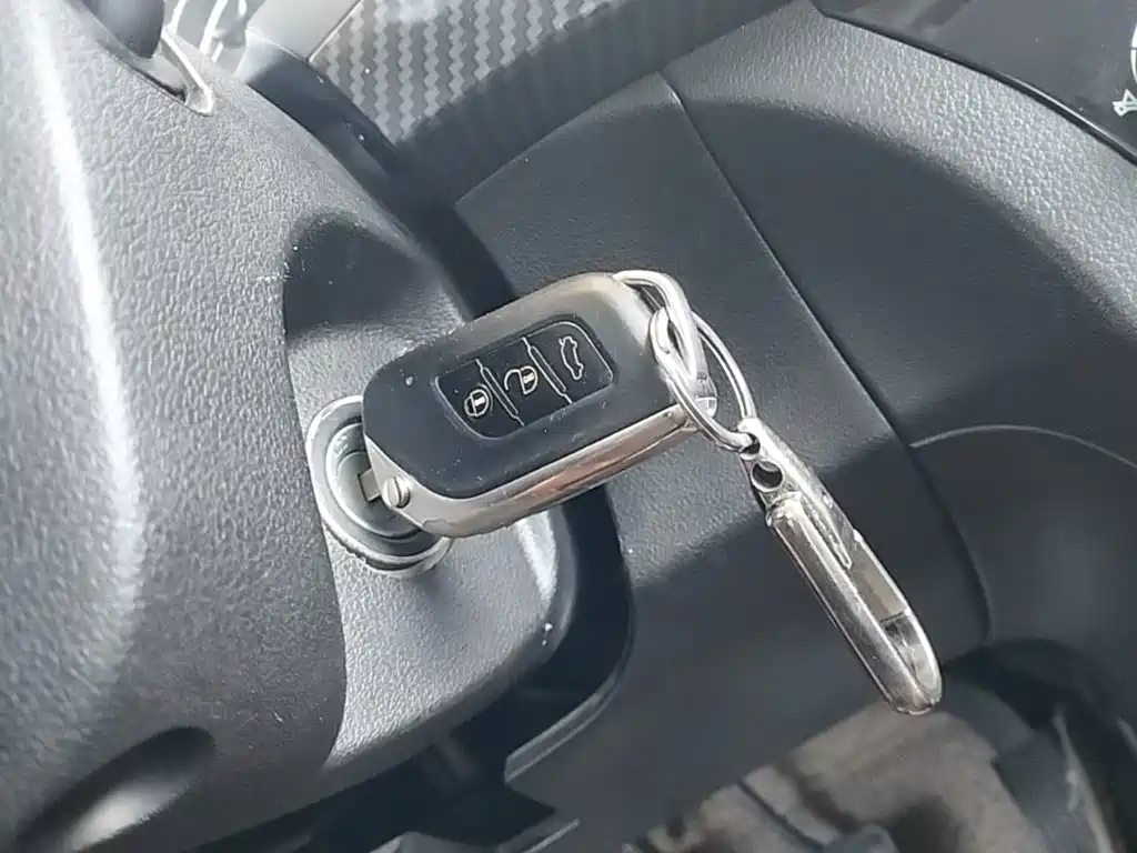 BAIC Senova X25 — миниатюра 9