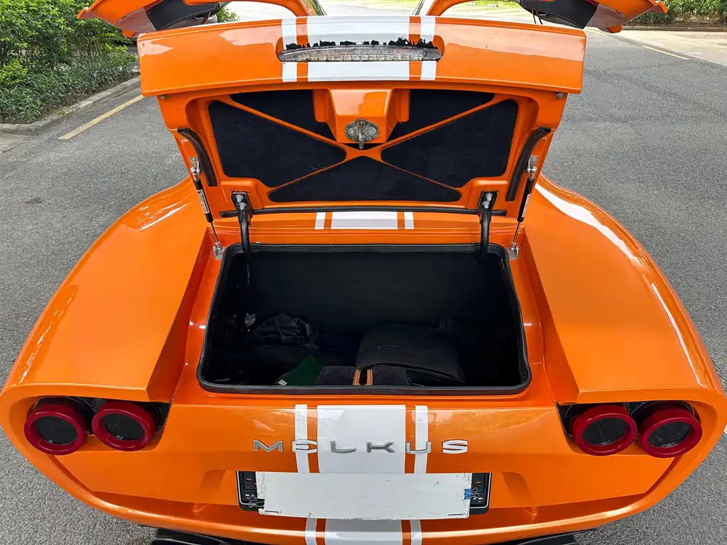 MELKUS MELKUS RS2000 — миниатюра 20