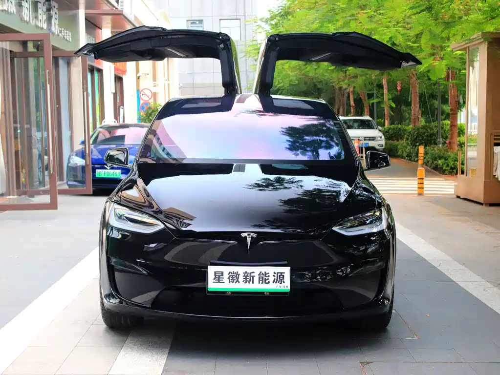 Tesla Model X — миниатюра 2