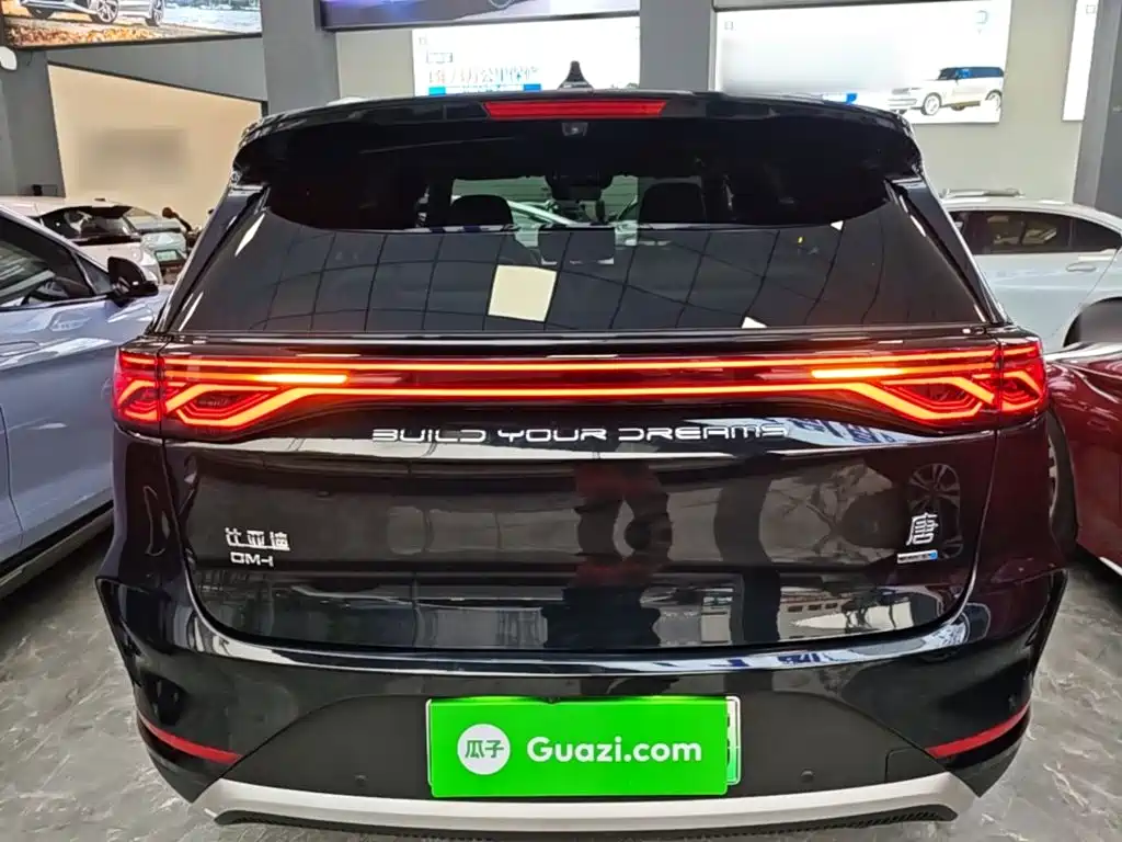 BYD Tang New Energy — миниатюра 6