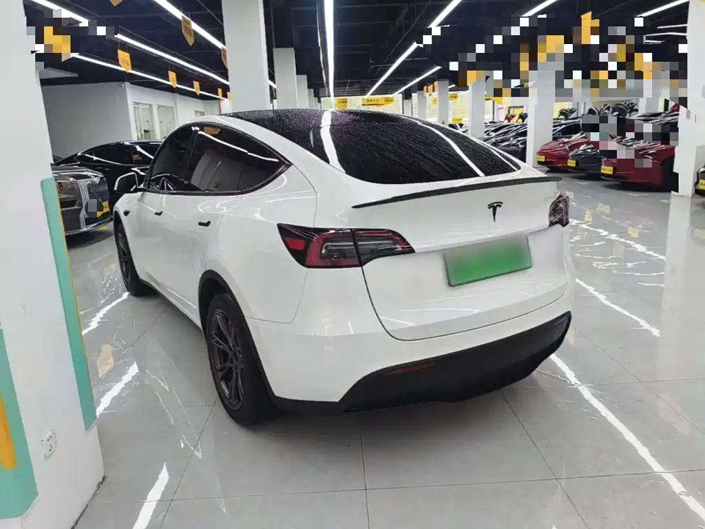 Tesla Model Y — миниатюра 5