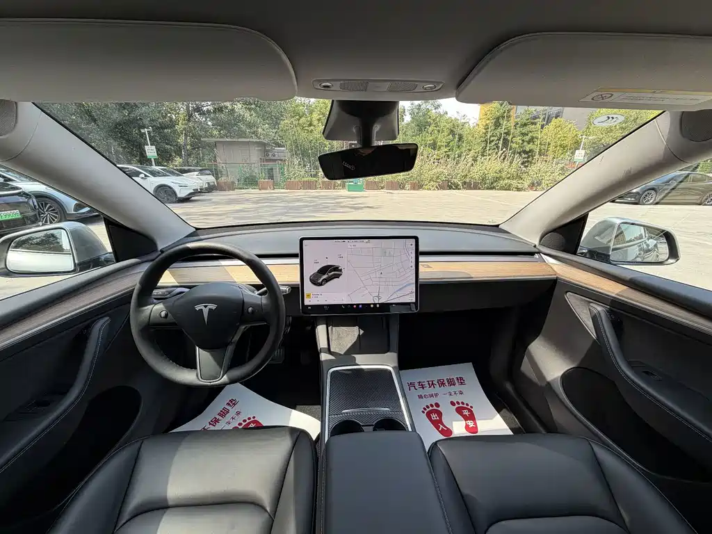 Tesla Model Y — миниатюра 2